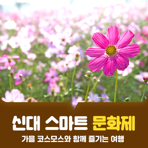  가을 데이트코스로 딱이야! 전남 순천 신대 스마트 문화제
