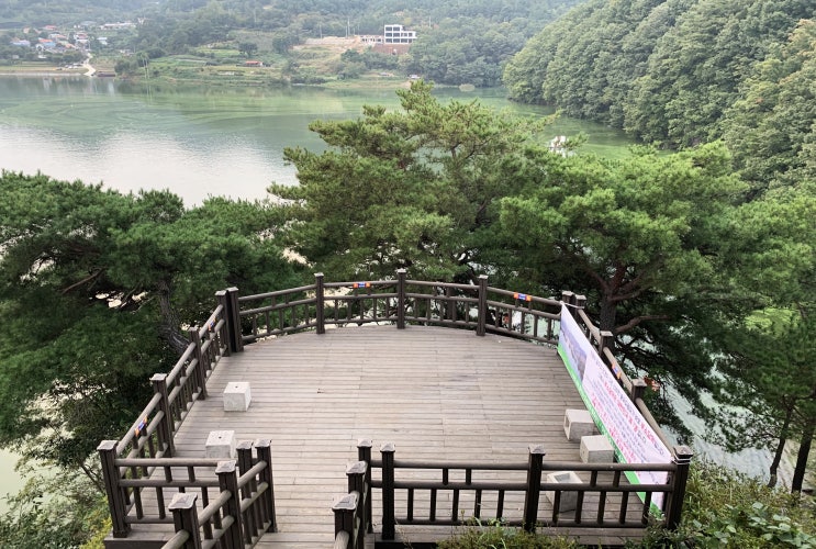충청북도 내륙일대 모토캠핑투어...(옥천 부소담악, 대청호 독수리봉 전망대, 진천 한반도지형 전망대, 대청호 남대문공원, 옥천 육지속의 섬(막지리), 보은 서원리 소나무)