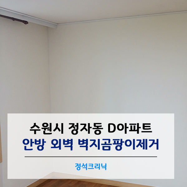  집안곰팡이제거 _ 수원시 정자동 아파트 안방 외벽 곰팡이제거작업