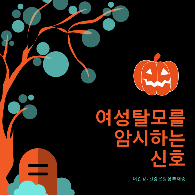  여성탈모를 암시하는 신호들/탈모극복,두피케어,홈케어,두피관리