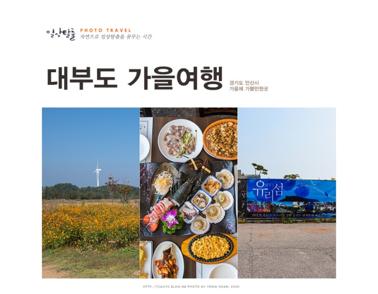  대부도 갈만한곳 바다향기테마파크 그리고 드라이브 코스
