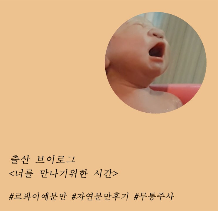 [자연분만 후기] 너를 만나기위한 시간 (르봐이예 분만 / 무통주사 )