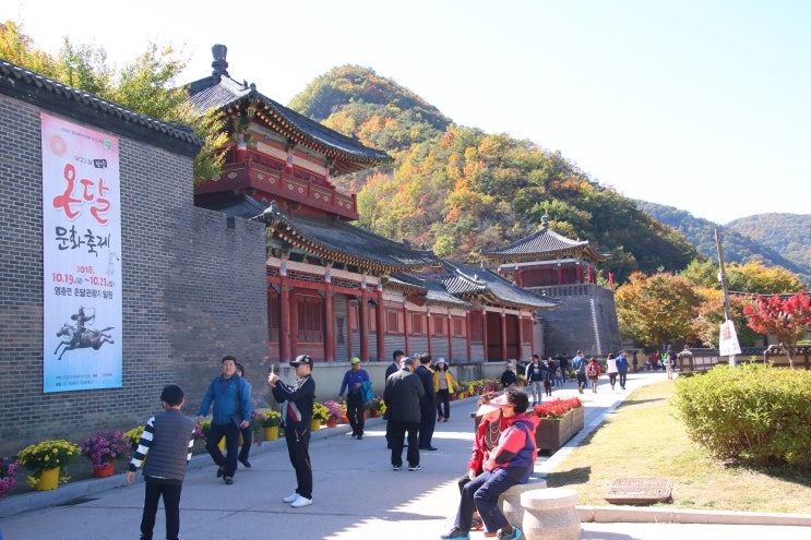 충북 10월 축제 가볼만한곳 단양 온달문화축제