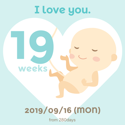  {19주-20주}기록 및 검진일기. +일상