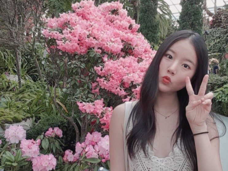  싱가폴 가볼만한 곳 정리 : 그동안 내가 너무 힘들게 살았나보오