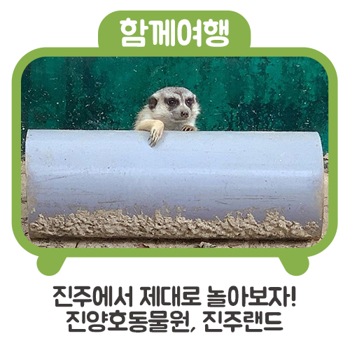  진주에서 제대로 놀아보자! 진양호동물원, 진주랜드