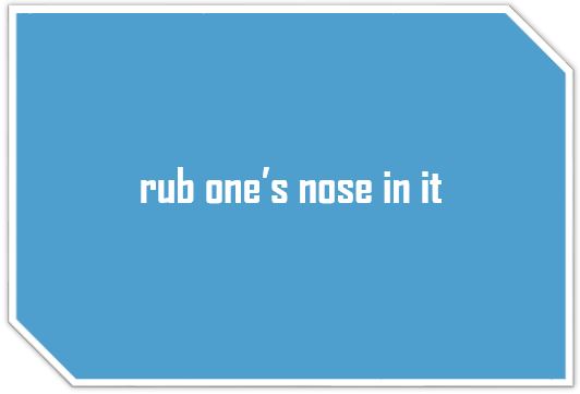 [영어표현] "rub one's nose in it" 이 뭘까??