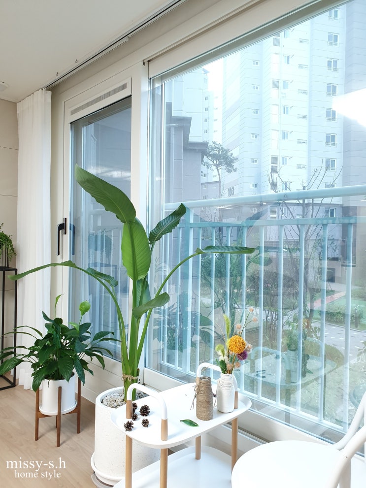  창문 페인트칠 / 실리콘 제거부터 시공까지~