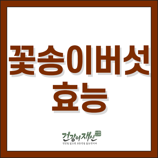  꽃송이버섯효능 효과높이려면 이렇게드세요