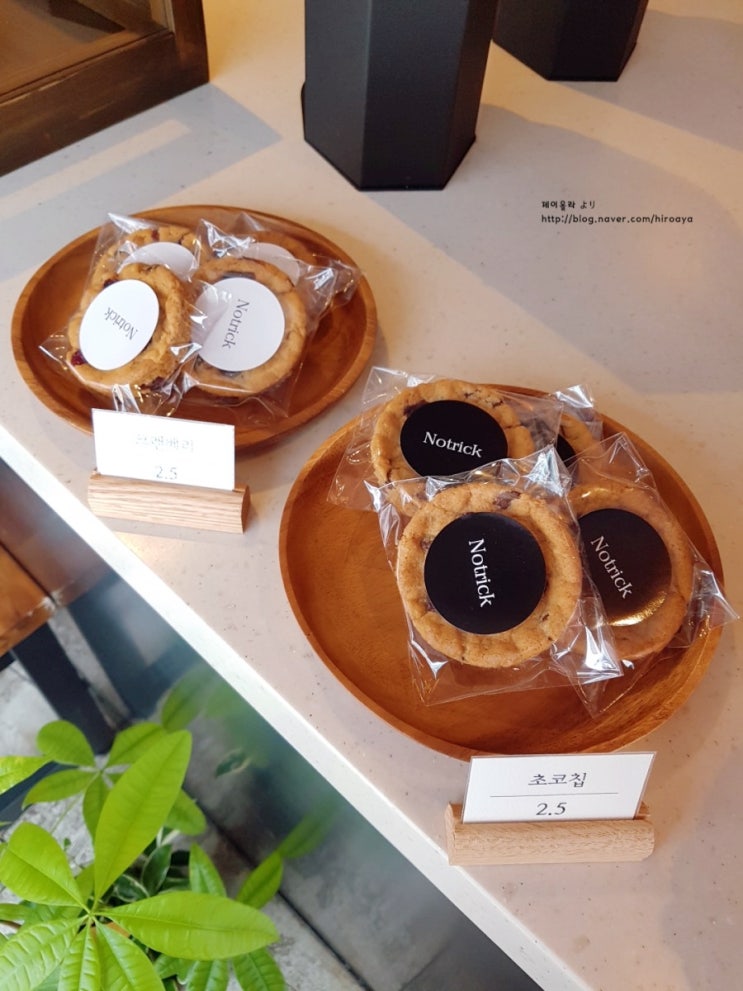  [전북대 카페] "노트릭" 본점, 완벽한 카페 :)