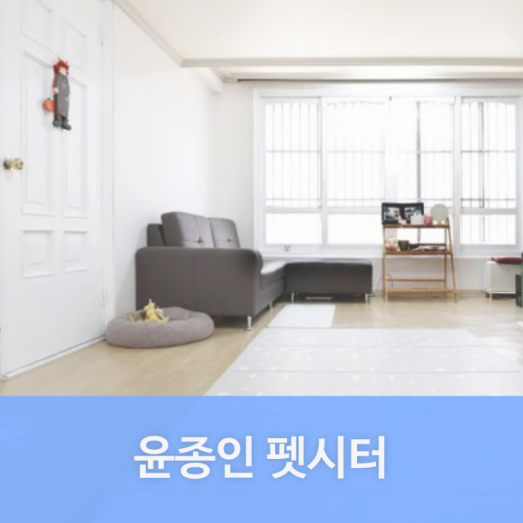  관악구 신림동 펫시터 윤종인님을 소개합니다. | 관악구 애견호텔, 애견유치원, 강아지유치원, 강아지호텔 찾는다면 펫플래닛