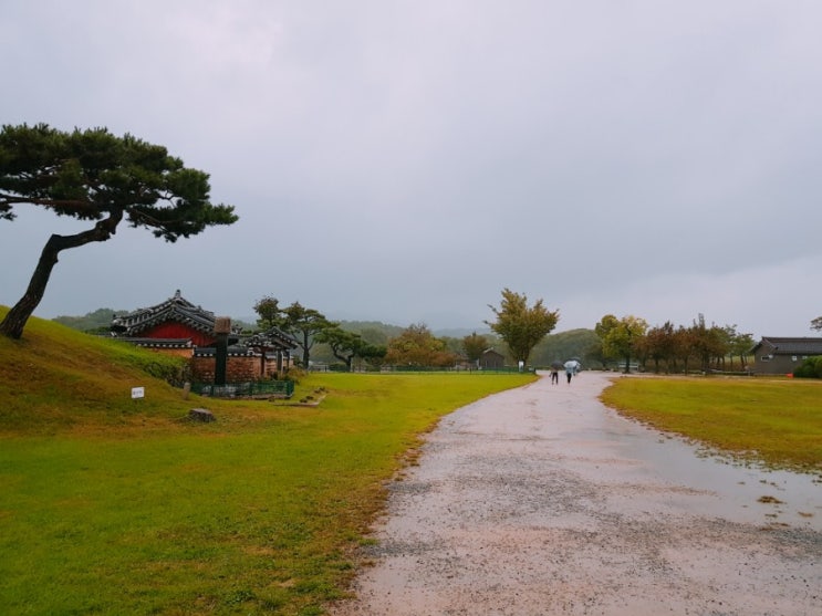  [경주여행] 첨성대부터 동궁과 월지까지 경주 산책코스. 비가 야속해. 비오는 경주의 하루