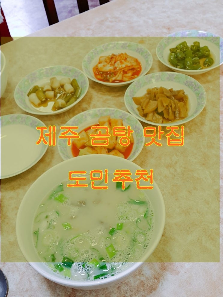  제주 맛집 곰탕 맛집 [ 재벌식당 ] 한라병원 주변 맛집 물반고기반 도민추천 배신없는 맛집