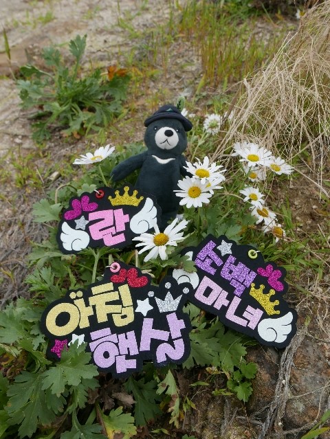  2019년 9월 15일 일요일 소백산 (어의곡~비로봉~어의곡)