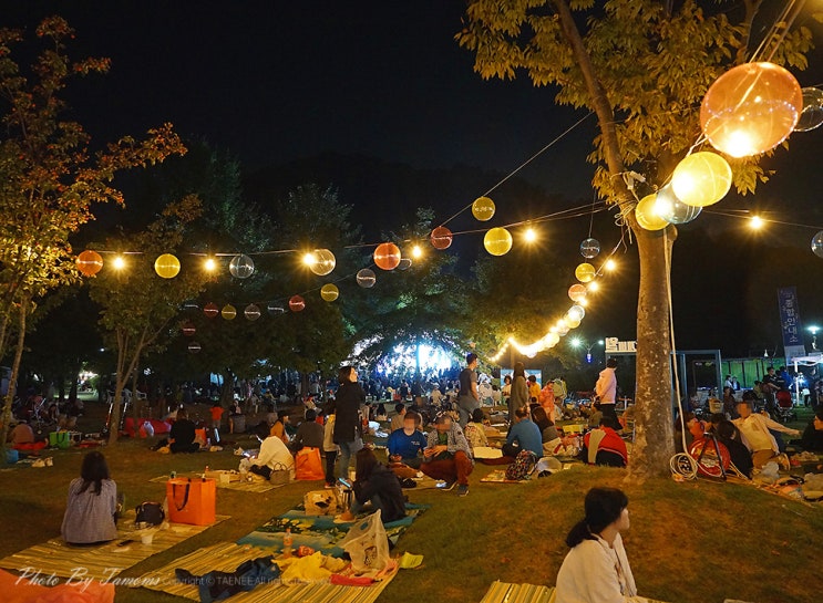  가을 먹거리 풍성했던 건강도시 시흥시 축제, 2019 늠내건강음식대축제 현장 속으로~