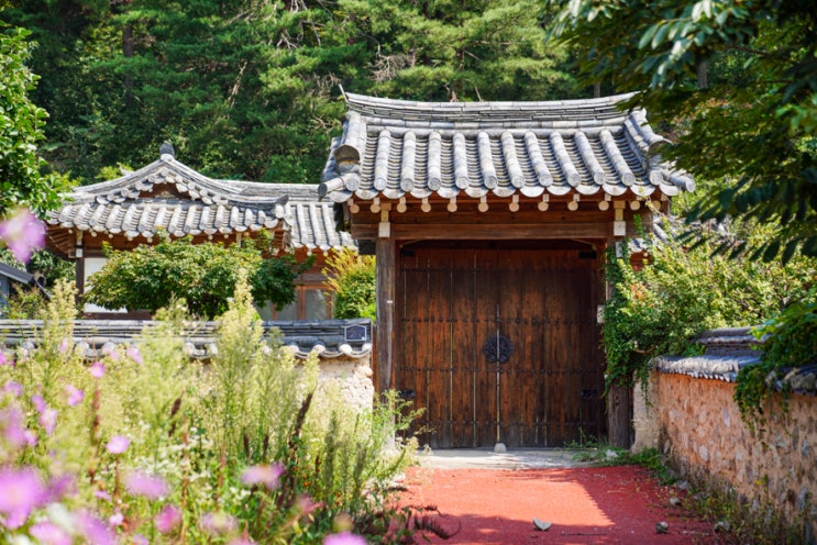  경북봉화여행-닭실마을, 청암정, 충재박물관, 봉화목재문화체험장,청량사, 청량산하늘다리,바래미마을