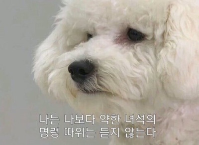  갑작스런 고백화요일