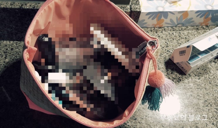  부히코의 여행 메이크업 파우치! 나의 데일리 화장 드림팀
