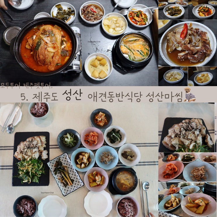  제주 애견동반식당, 성산마씸과 고등어쌈밥 맛집