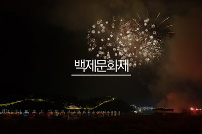  대전 근교 가볼만한곳 - 공주 백제문화제 다녀왔어요