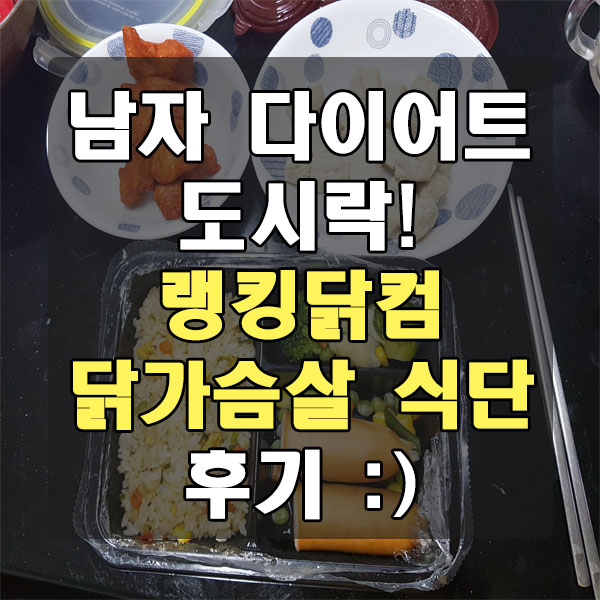  남자 다이어트 도시락 - 랭킹닭컴 닭가슴살 식단 모음 후기 :)