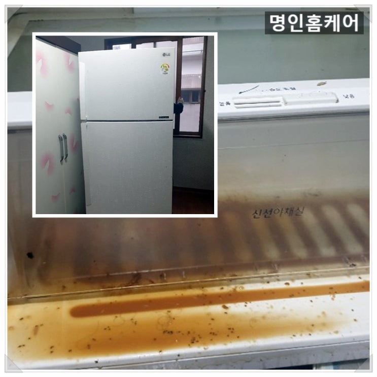  대구냉장고청소 원룸 벌레 냉장고 어떻게 해야 하죠?