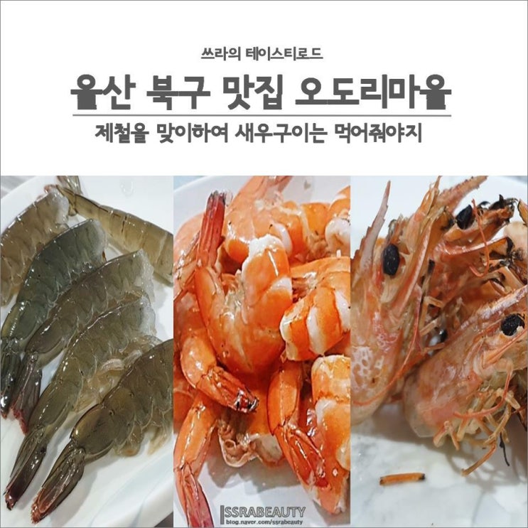  울산 북구 맛집 오도리마을 대하냠냠