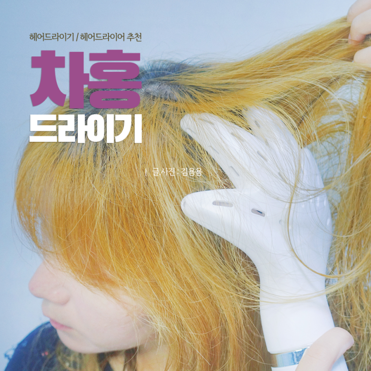  헤어드라이어 추천 ! 차홍 드라이기 빠른 건조 굿 :) 펫드라이기로도 사용가능해 