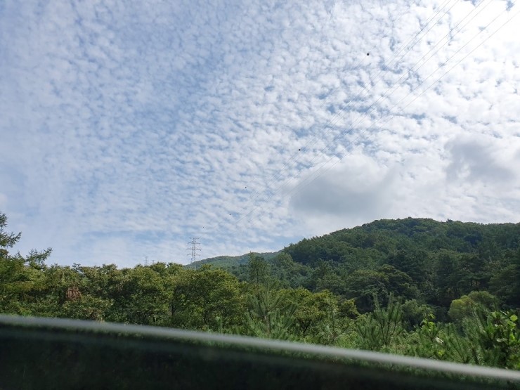  포천 어메이징하네~~