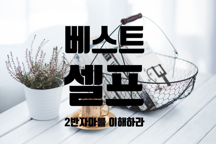  꿈벗성장_ 베스트셀프 by 마이크베이어_ 2장. 반자아를 이해하라