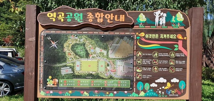 숲속 느낌 한가득 역곡공원으로 가을 산책 떠나 볼까요? 역곡도서관은 덤!
