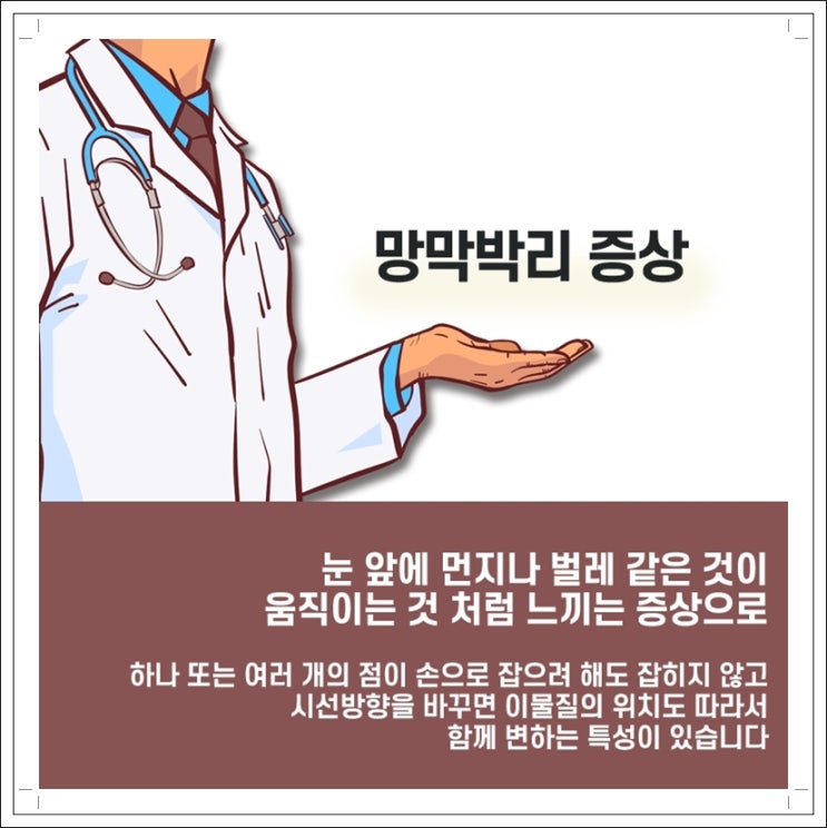  망막박리증상 날파리가 보일 수 있습니다