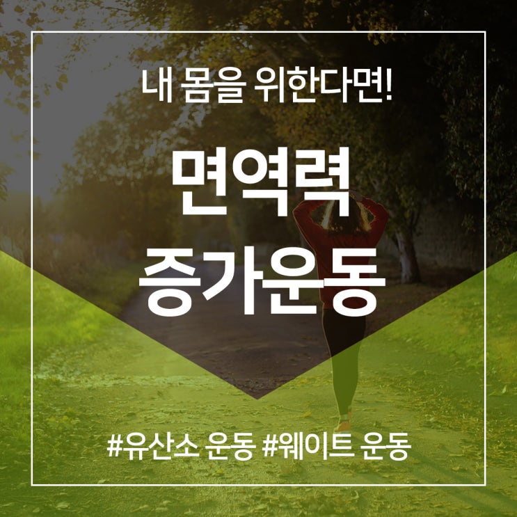  면역력 증가 운동 내 몸은 내가 지킨다