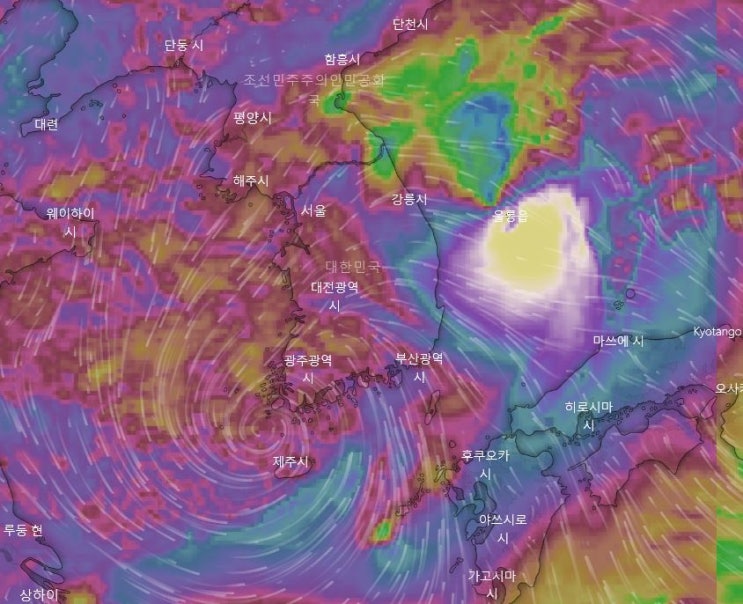 [2019 제주도] 태풍오는데 제주도 갑니다!!! 아시아나웹체크인