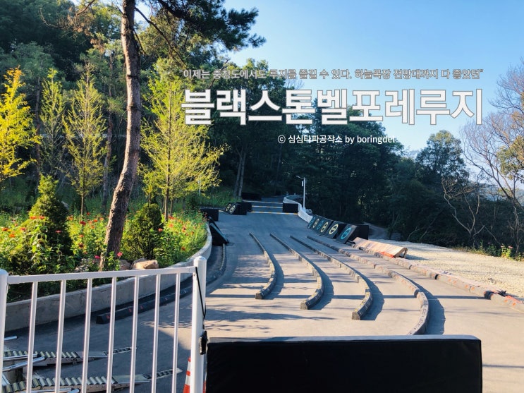  증평 블랙스톤 벨포레 익스트림 루지 짜릿한 질주본능 꼭 가볼만한곳