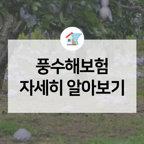  태풍 '미탁'도 걱정 없는 풍수해보험 궁금한 점 10가지