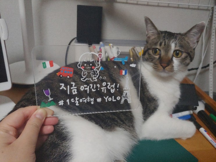  잠시 지쳤었다