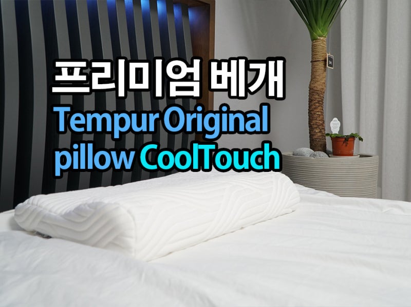 기능성 베개 추천 템퍼 오리지날 목이 편한 베개 11