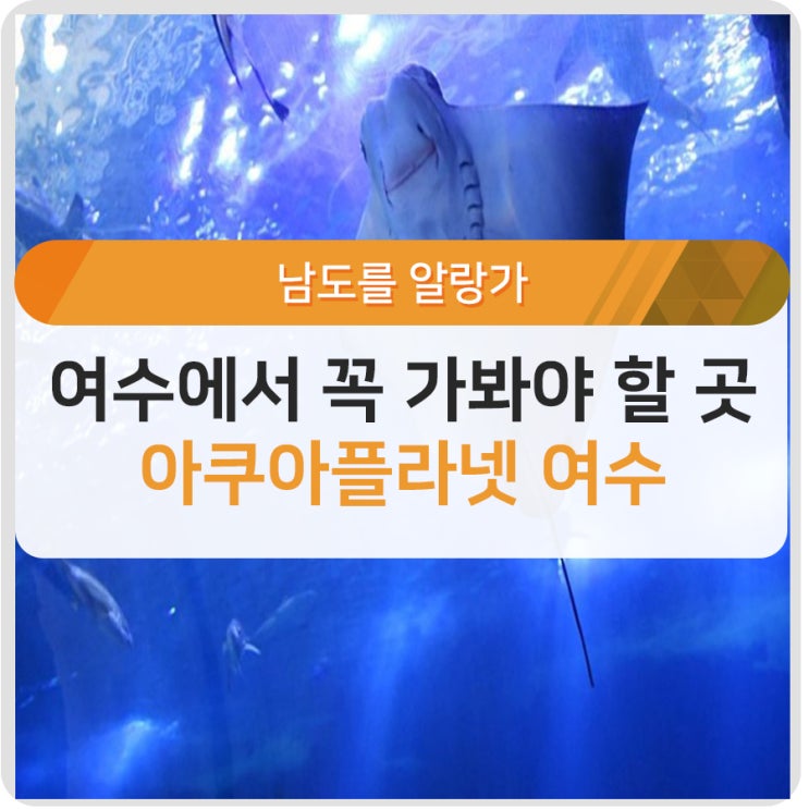  [기고] 여수 여행코스 추천! 아쿠아플라넷 여수에서 만나는 해양세계