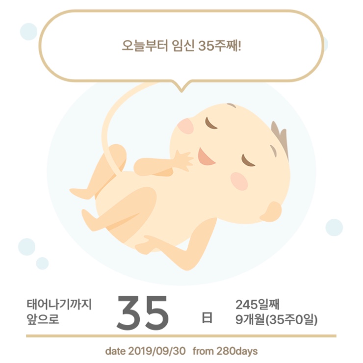  임신 35주(19.09.30~10.06)_꺅 연휴 너무 좋아!!