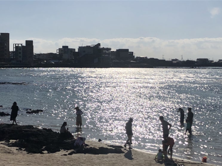  제주