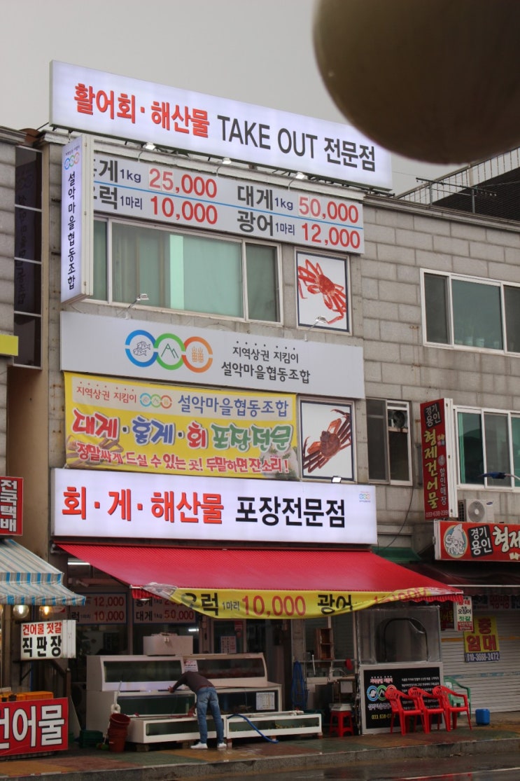  < 속초 핫플 > 속초 회포장 설악마을협동조합에서 대게랑 회포장 짱짱
