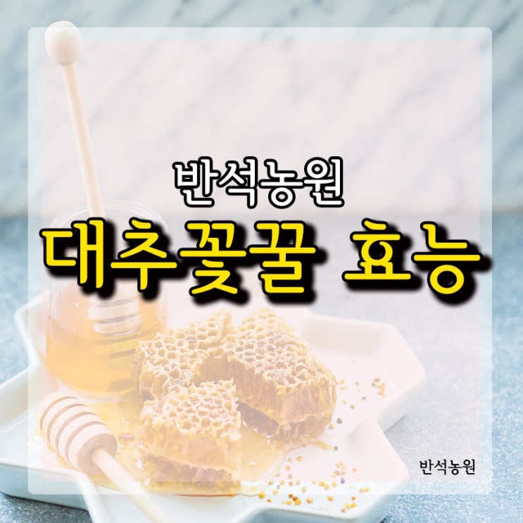  대추꽃꿀 효능 다양하게 알아보자