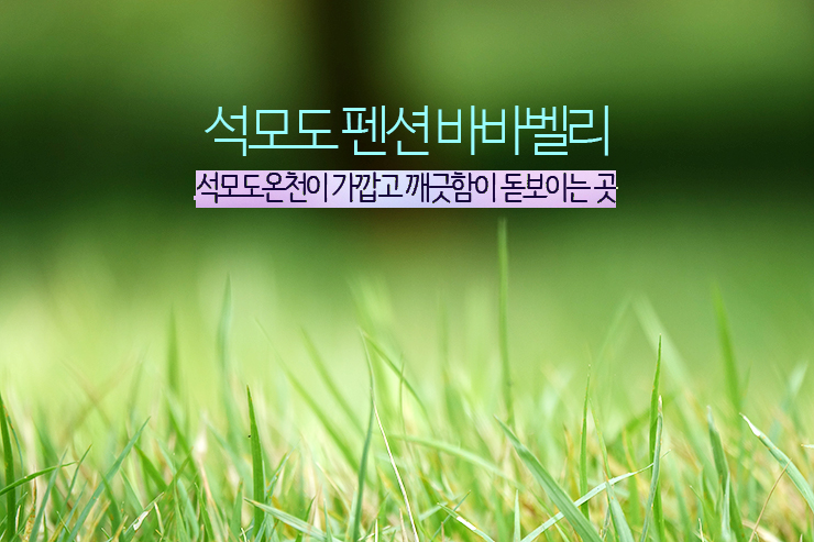  석모도펜션 바바벨리, 석모도미네랄온천 가까운 펜션