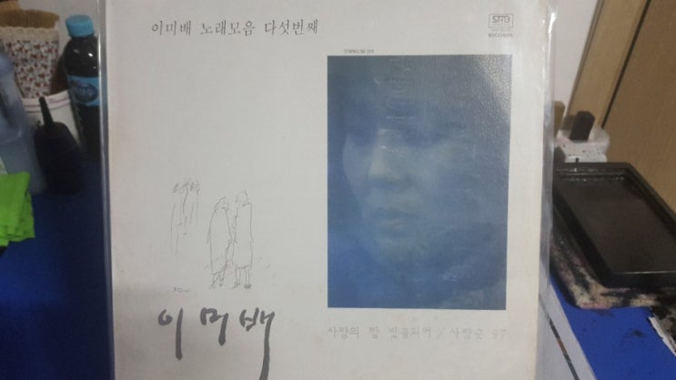  이미배