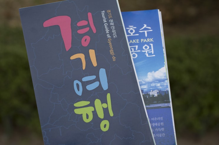  경기도여행 일산호수공원 고양가을꽃축제