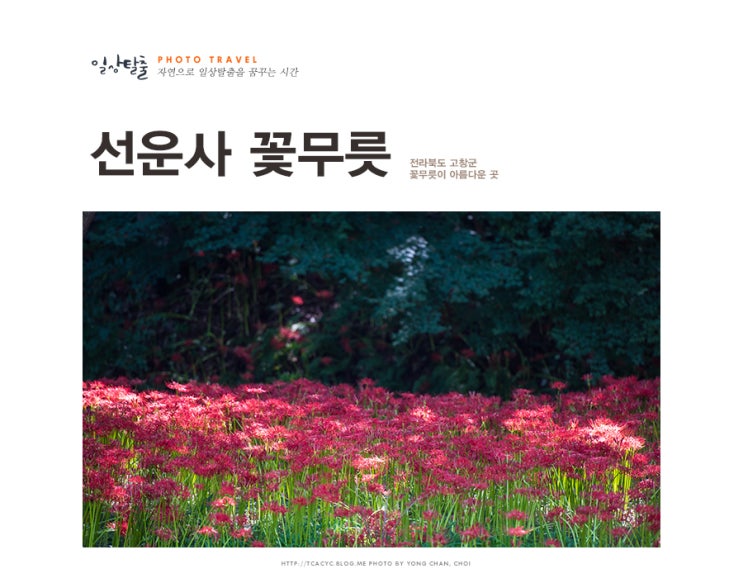  선운사 꽃무릇을 보러 간 고창 여행