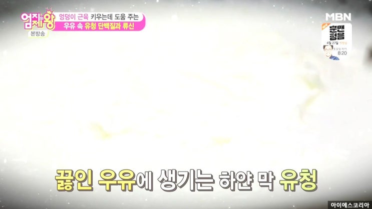  유청단백질가루 효능과 부작용