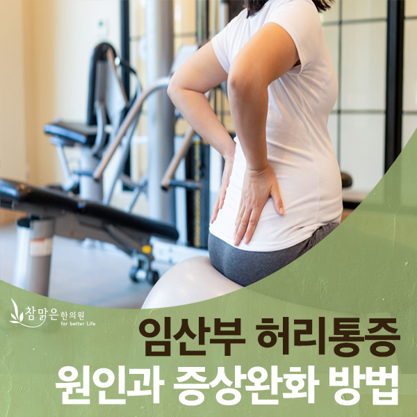  임산부 허리통증 환도선다 증상완화 위해서