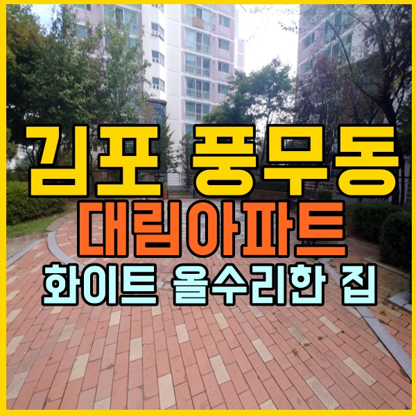  김포 풍무동 대림아파트 30평 올 수리 가격 좋아요!